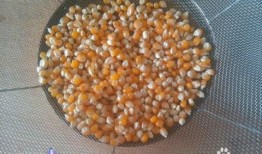 玉米爆米花爆料方法视频,视频揭秘爆米花爆裂全过程